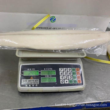 Super frozen Oilfish fillet For Japanese Sashimi Sushi